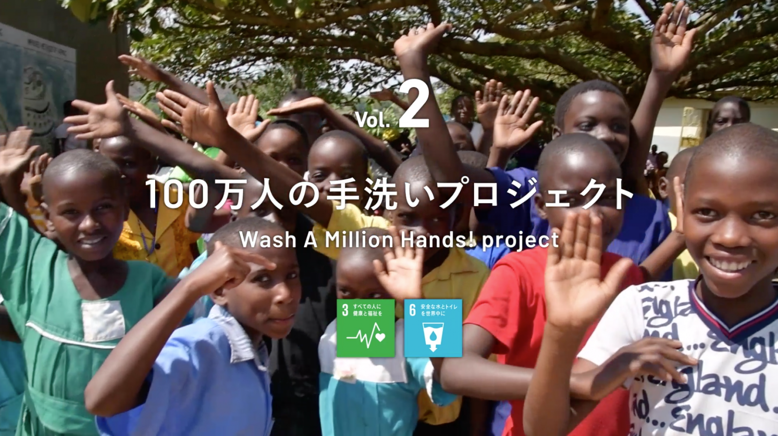 SARAYA HYGIENE SOLUTION