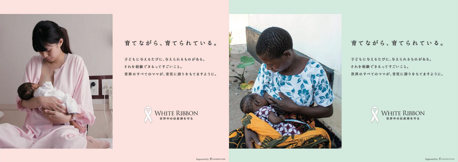 WHITE RIBBON GR by Lactoferrin Lab