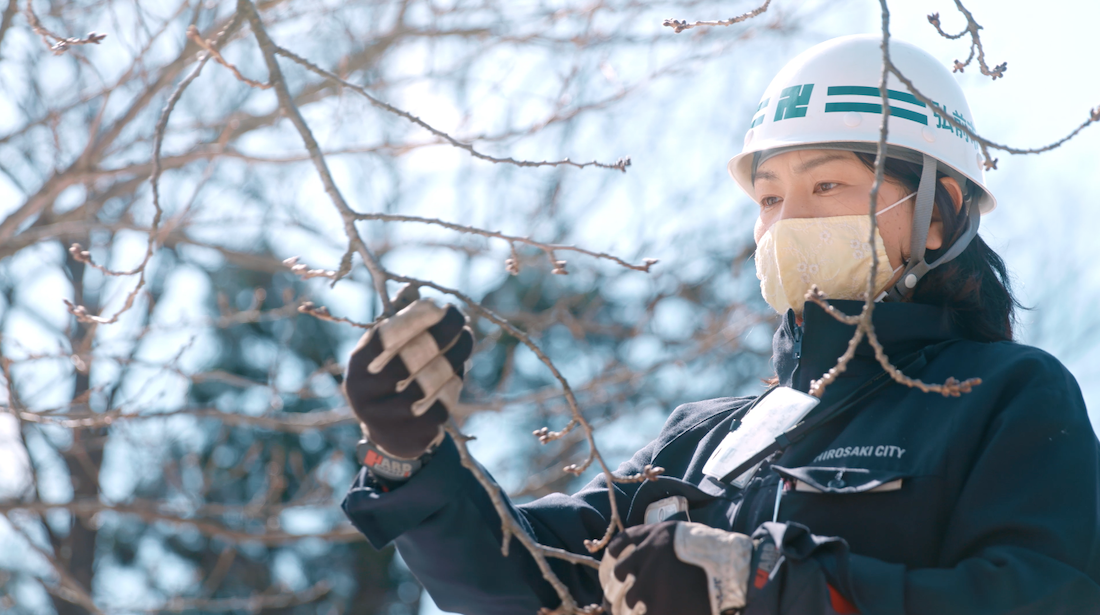 冬があるから、